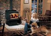 wood stove insert.